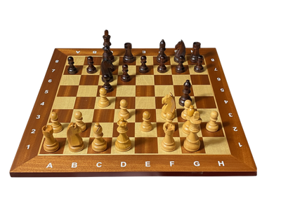 Grandmaster Full Sized Pieces & 20" Algebraic Mahogany Board -Slide Box