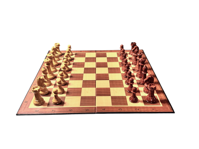 World Chess Style ABS Chessmen and Card Folding Board